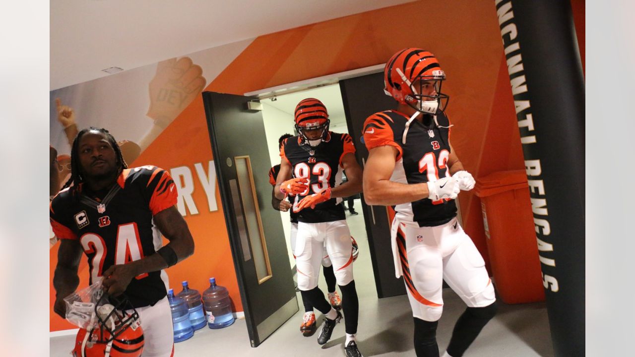 110 Who Dey! ideas  bengals, cincinnati bengals, bengals football