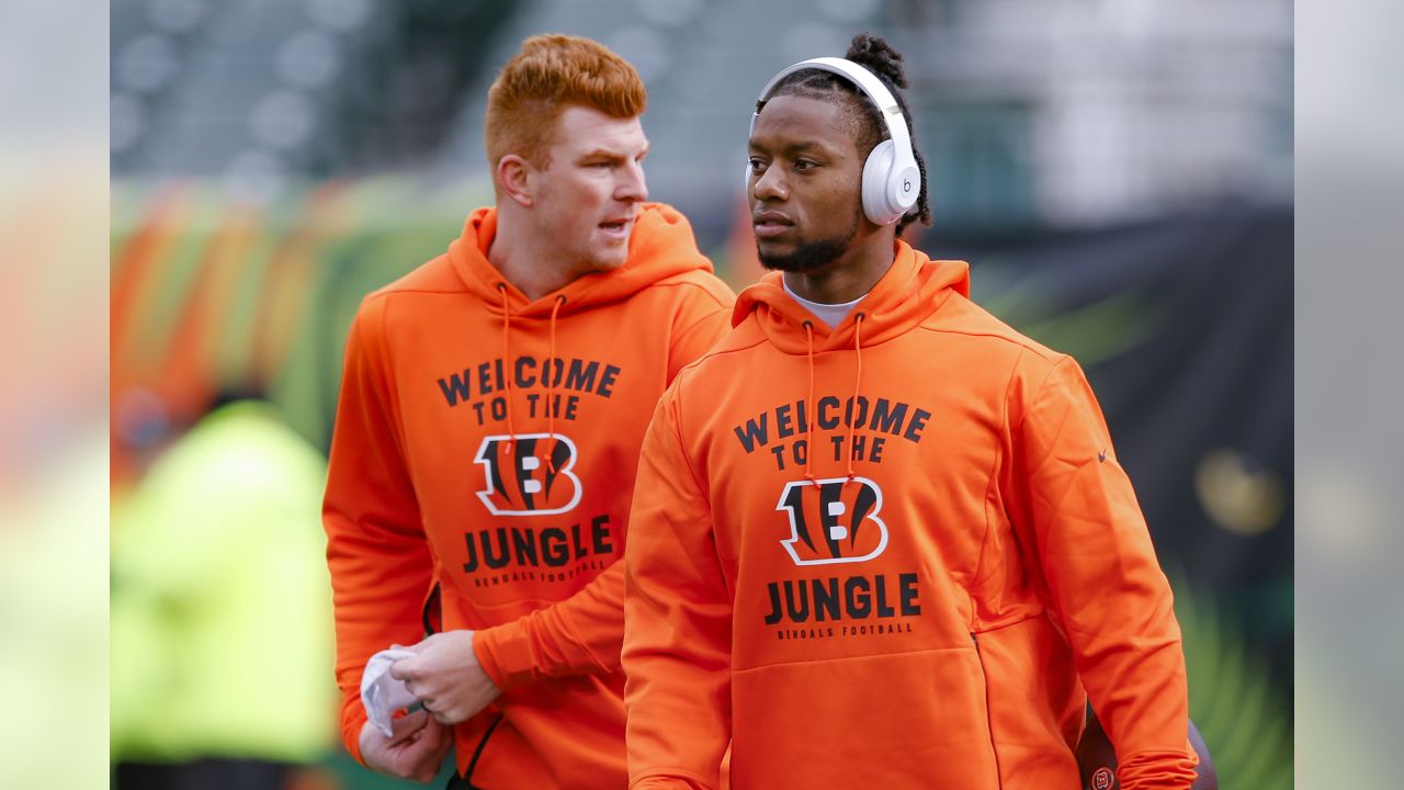 Cincinnati Bengal starting quarterback Andy Dalton watches the replay on  the scoreboard in the fourth quarter of the Pittsburgh Steelers 35-7 win at  Heinz Field in Pittsburgh Pennsylvania. The Bengals Dayton was