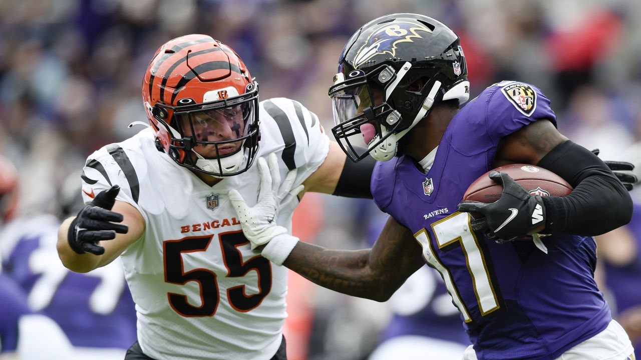 Cincinnati Bengals linebacker Logan Wilson (55) runs for the play during an  NFL wild-card football game against the Baltimore Ravens on Sunday, Jan. 15,  2023, in Cincinnati. (AP Photo/Emilee Chinn Stock Photo 