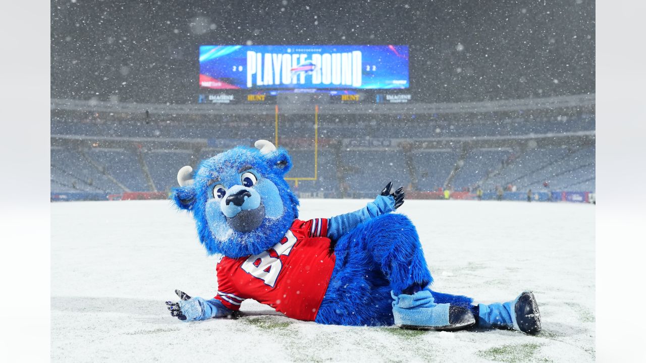 In snowy finish, Bills rally to beat Dolphins 32-29 on Tyler Bass'  game-winning FG