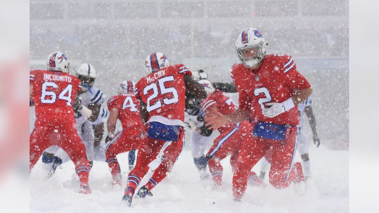 Football weather: Snow in Buffalo gives a winter wonderland effect for  Bengals-Bills