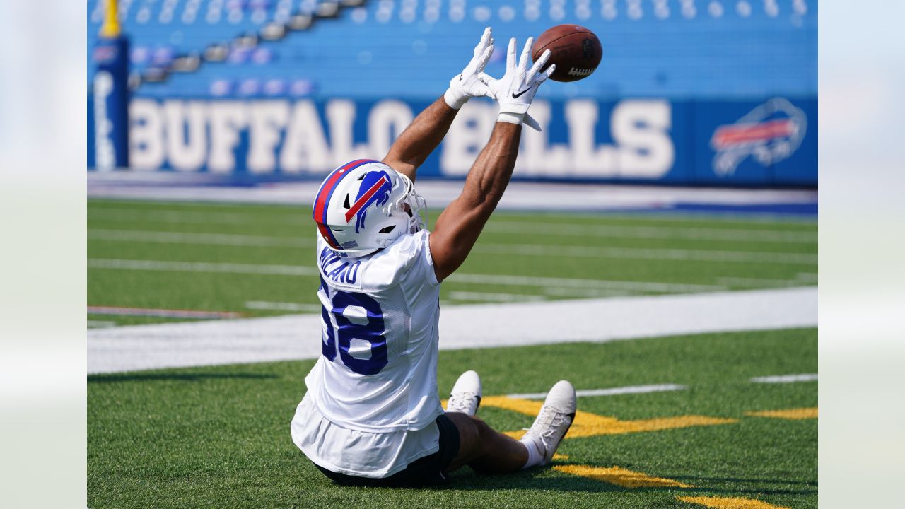 Bills' Gabe Davis questionable vs. Titans with ankle injury; Ed