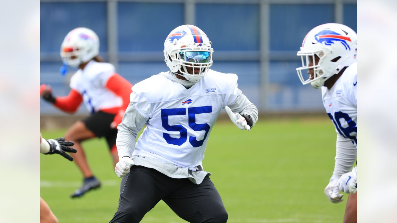 Bills rule out Hyde, Phillips on injury thinned defense