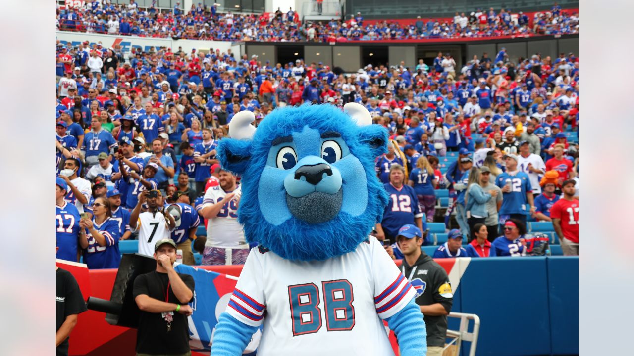 Better or worse than our current mascot? : r/buffalobills