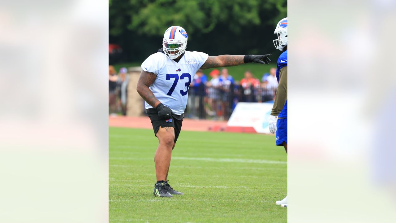 Buffalo Bills defensive tackle Kyle Williams (95) takes part in drills  during their NFL football training camp in Pittsford, N.Y., Tuesday, July  22, 2014. (AP Photo/Bill Wippert Stock Photo - Alamy