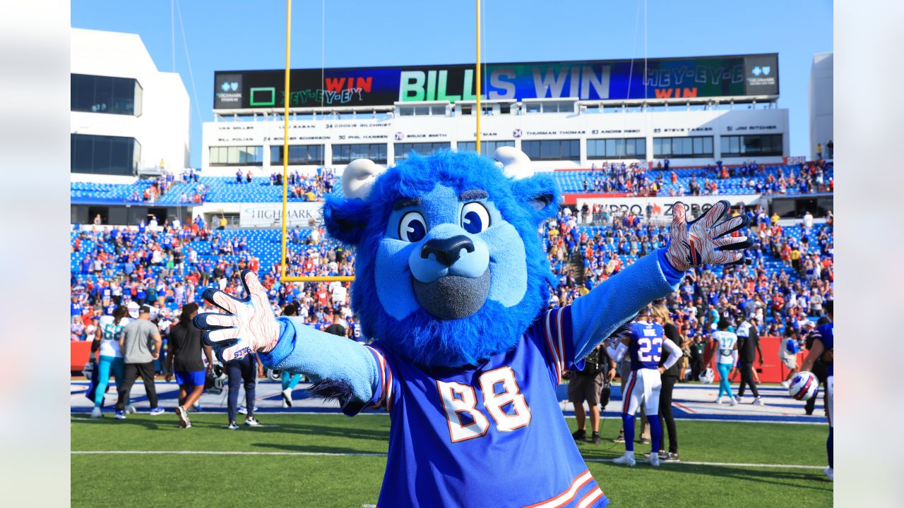 Buffalo Bills Mascot Billy Buffalo Runs the 40 Yard Dash 