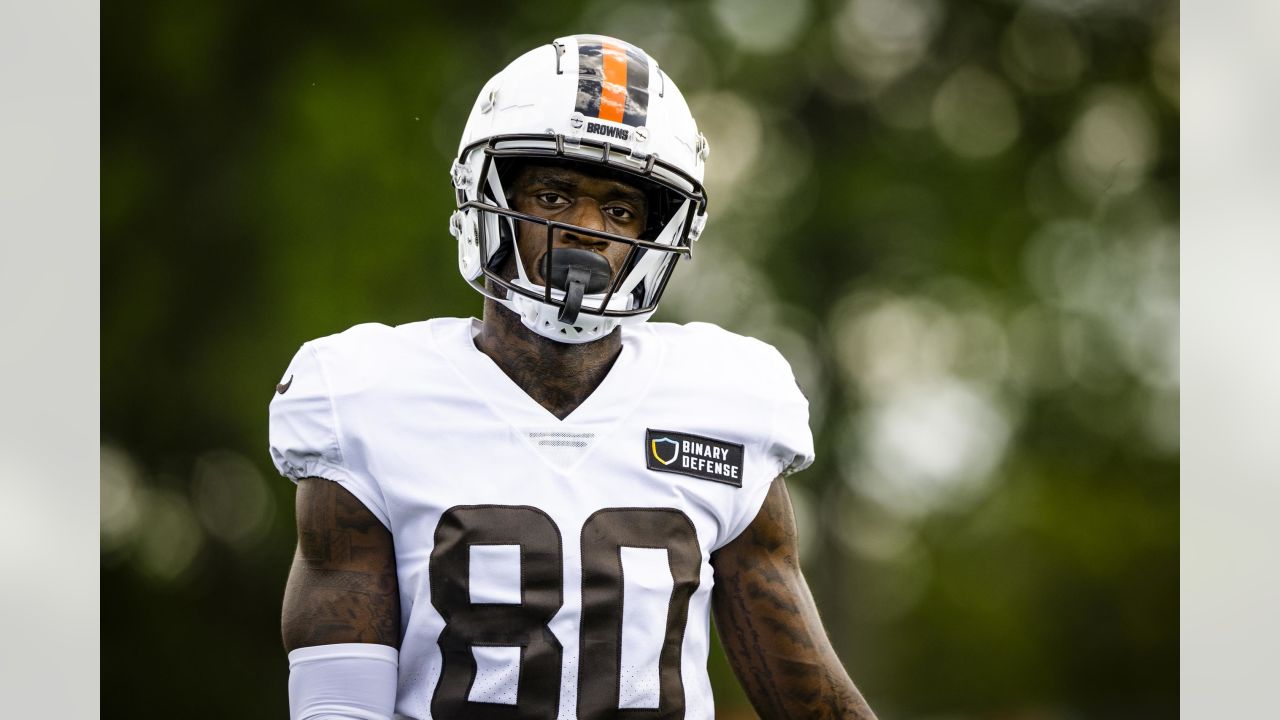 Pittsburgh, PA, USA. 1st Dec, 2019. Tevin Jones #14 during the Pittsburgh  Steelers vs Cleveland Browns at Heinz Field in Pittsburgh, PA. Jason  Pohuski/CSM/Alamy Live News Stock Photo - Alamy