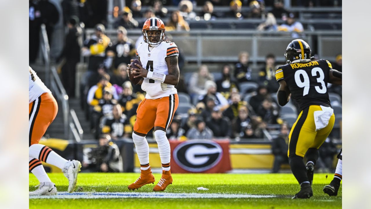 Photo: Steelers Sack Cleveland Browns Deshaun Watson - PIT2023010819 