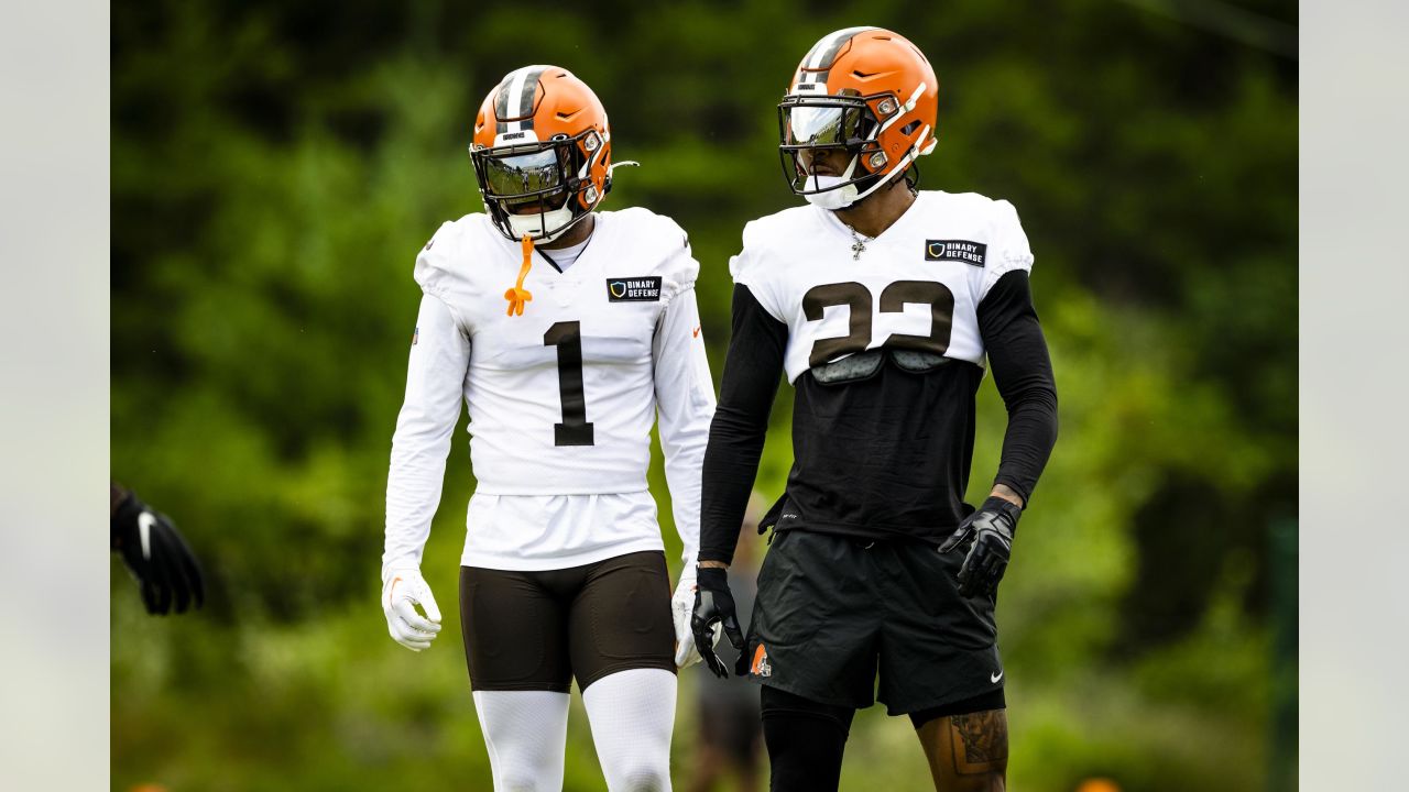 Cleveland Browns tight end Thomas Greaney (81) lines up for a play