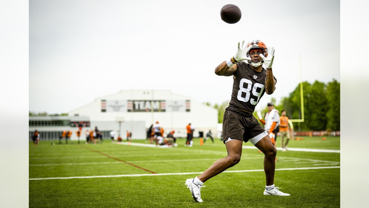 Browns Sign A Cornerback + Rookie Minicamp Winners & Losers Ft. Cedric  Tillman & Jim Schwartz 