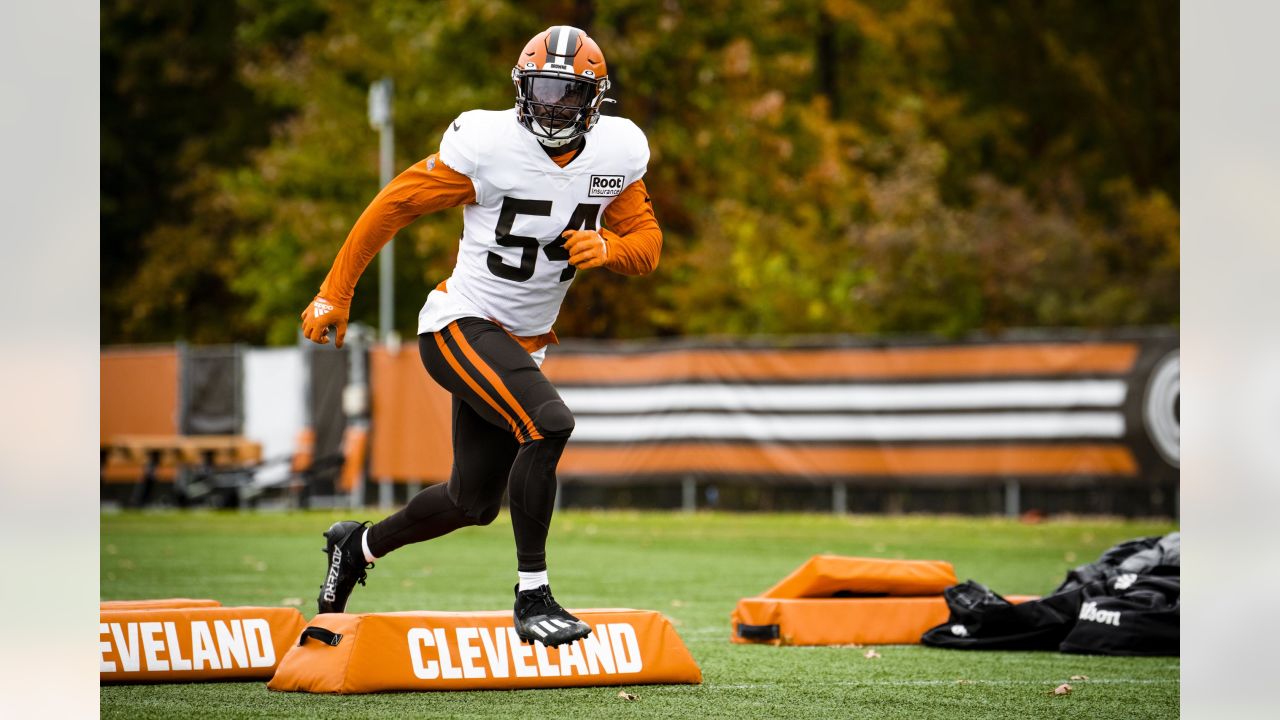 Cleveland Browns: Denzel Ward, Greedy Williams may be out a while