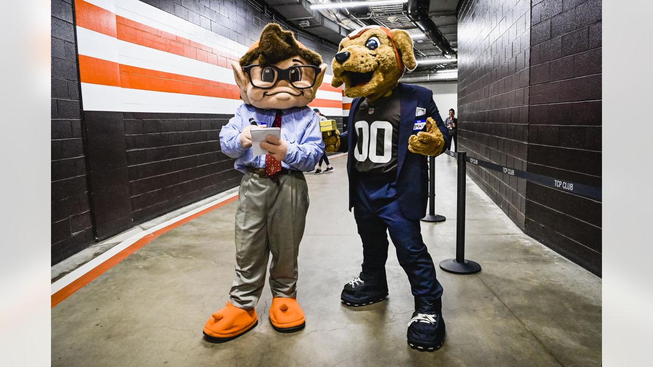 See Browns, Bengals players arrive for MNF in Halloween costumes