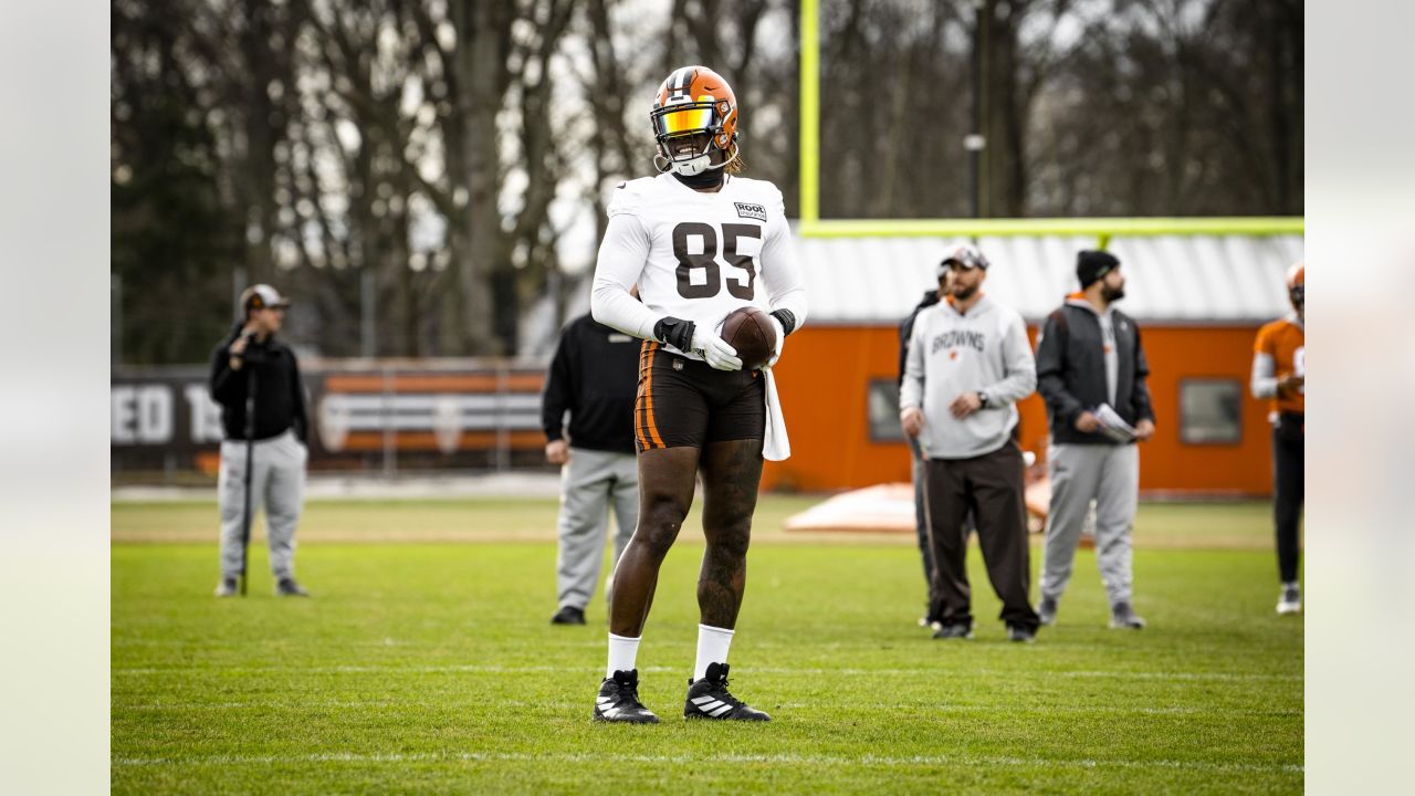 Amari Cooper plans to work out with Deshaun Watson a lot in the offseason:  Browns takeaways 