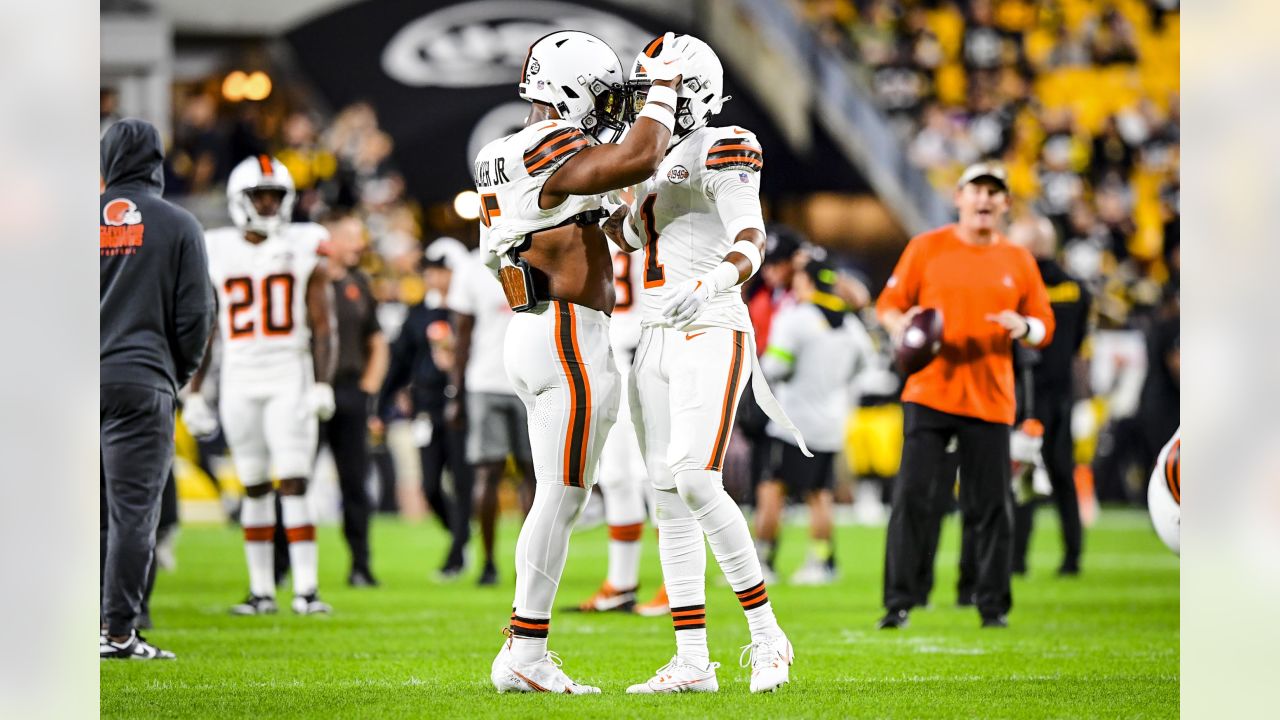 Pittsburgh, PA, USA. 1st Dec, 2019. Tevin Jones #14 during the Pittsburgh  Steelers vs Cleveland Browns at Heinz Field in Pittsburgh, PA. Jason  Pohuski/CSM/Alamy Live News Stock Photo - Alamy