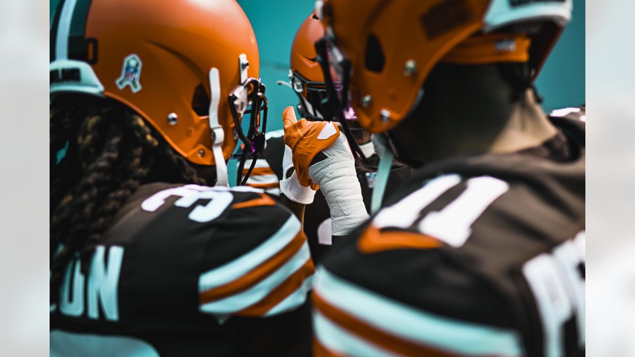 Dolphins and browns game November 13｜TikTok Search