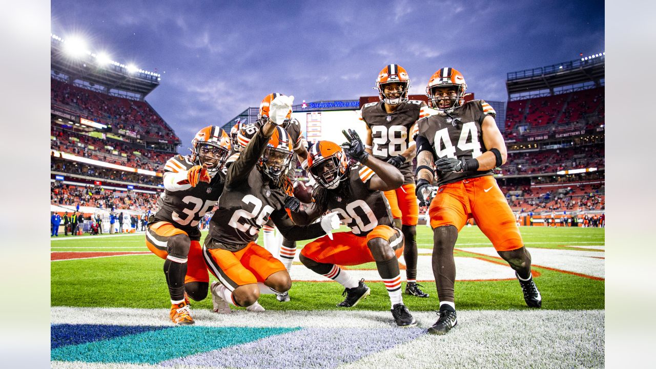 Cleveland Browns Windows 11/10 Theme 