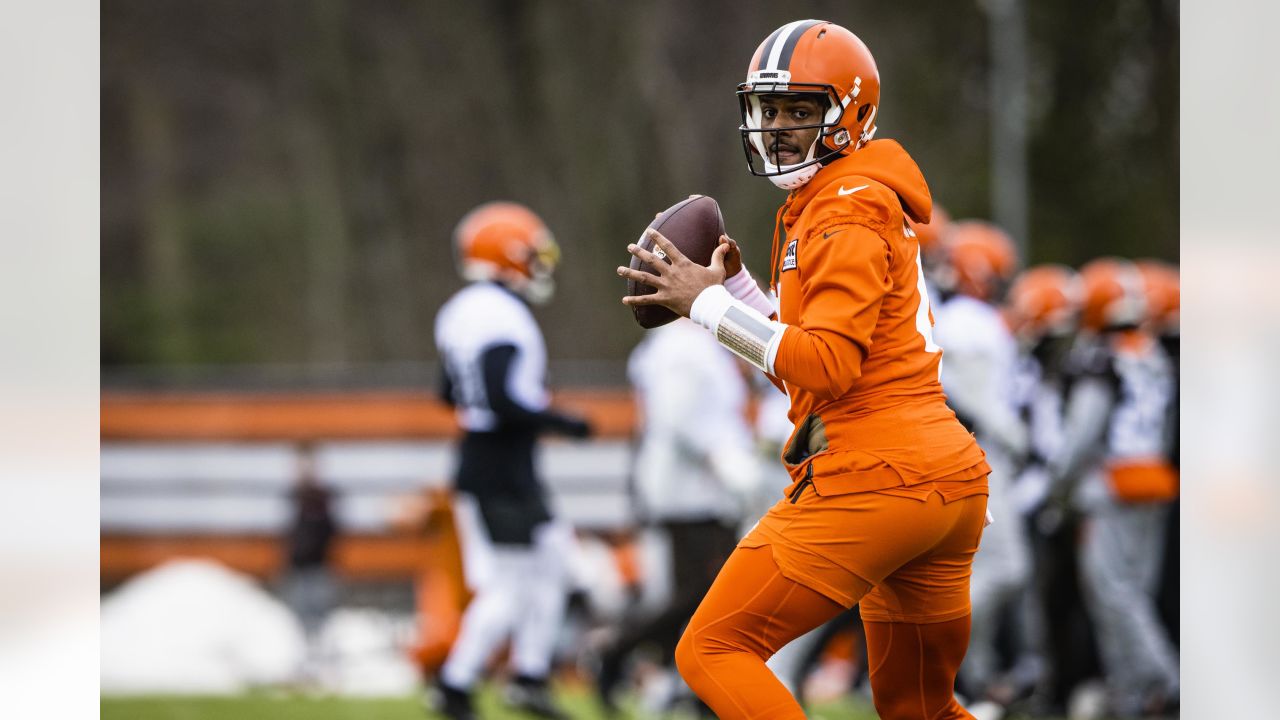 Browns news: Deshaun Watson in bad weather, Jim Donovan well wishes, Grant  Delpit preview - Dawgs By Nature