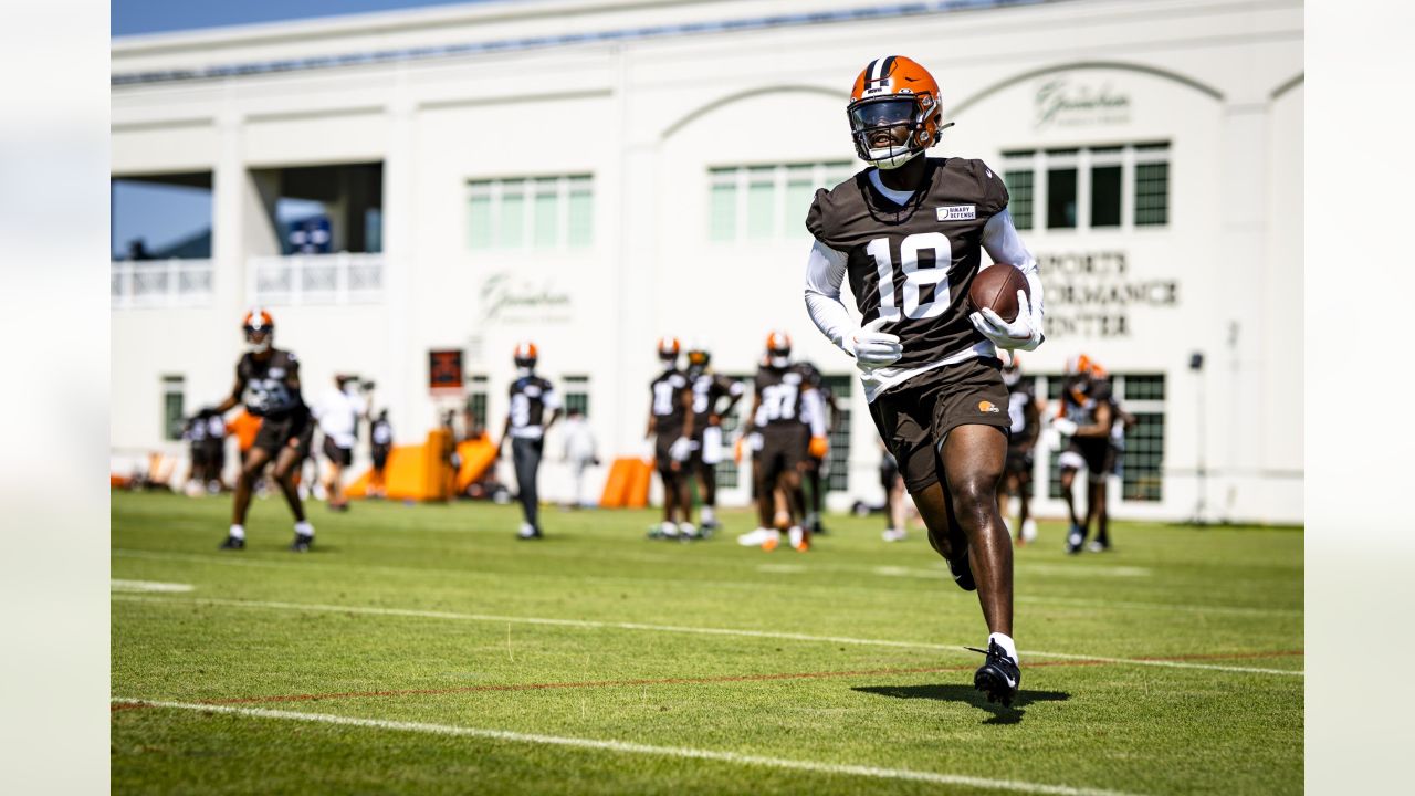 Sights and sounds from day two of Browns training camp in Greenbrier