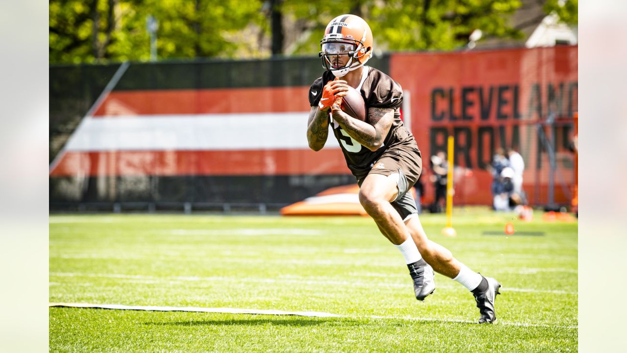 Browns' have 18 players at rookie minicamp, including 3 tryouts - Dawgs By  Nature