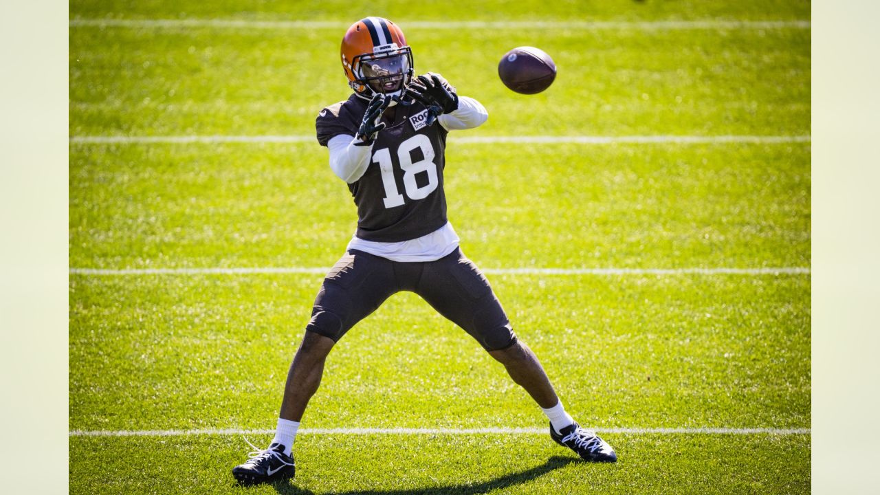 Cleveland Browns offensive linemen Jedrick Wills Jr. (71) stands before  participating in a drill during an NFL football practice in Berea, Ohio,  Wednesday, Aug. 4, 2021. (AP Photo/David Dermer Stock Photo - Alamy