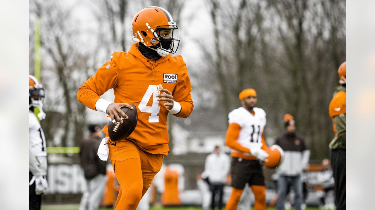 Cleveland Browns: Jacoby Brissett to move into QB1 role - Dawgs By Nature