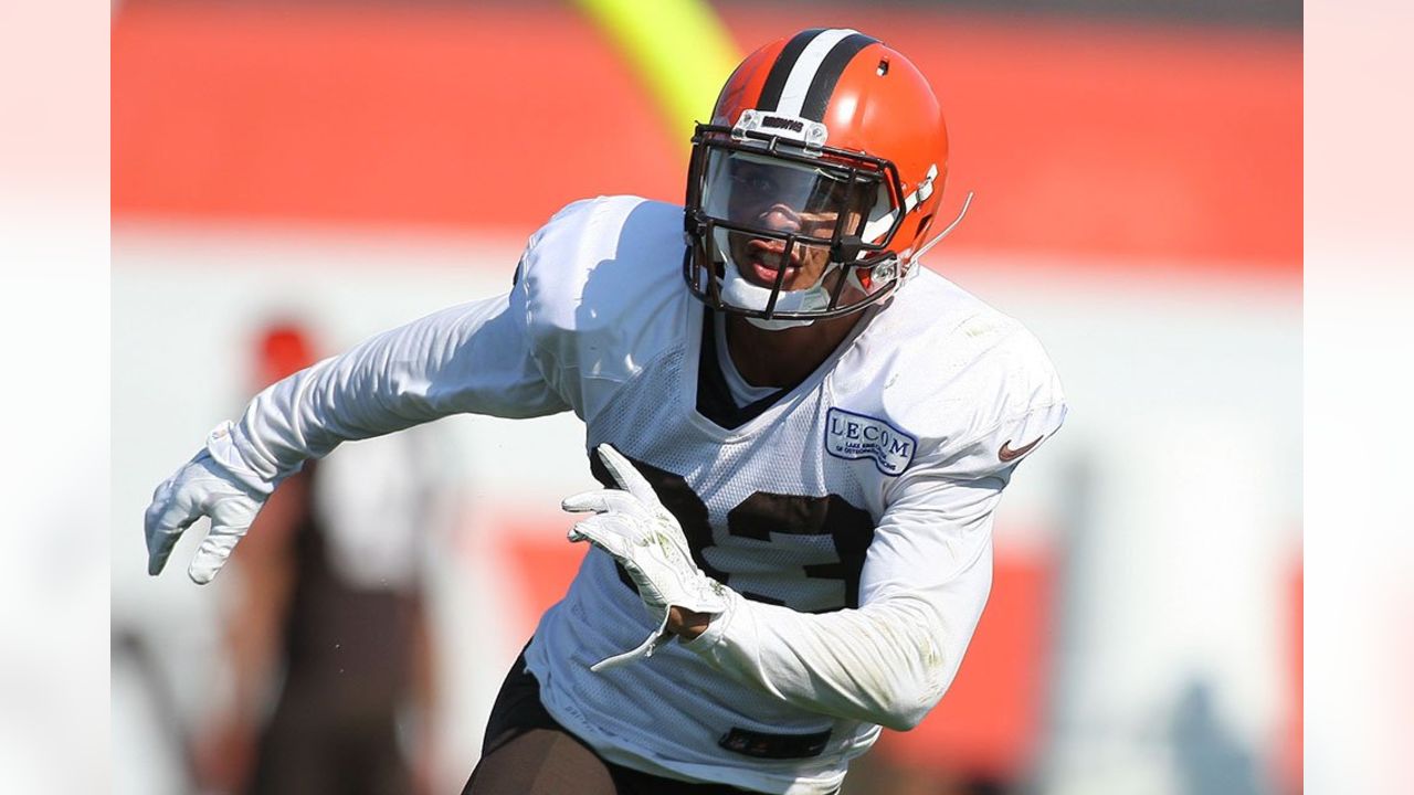 Cleveland Browns hoping to slow things down for Antonio Callaway - Dawgs By  Nature