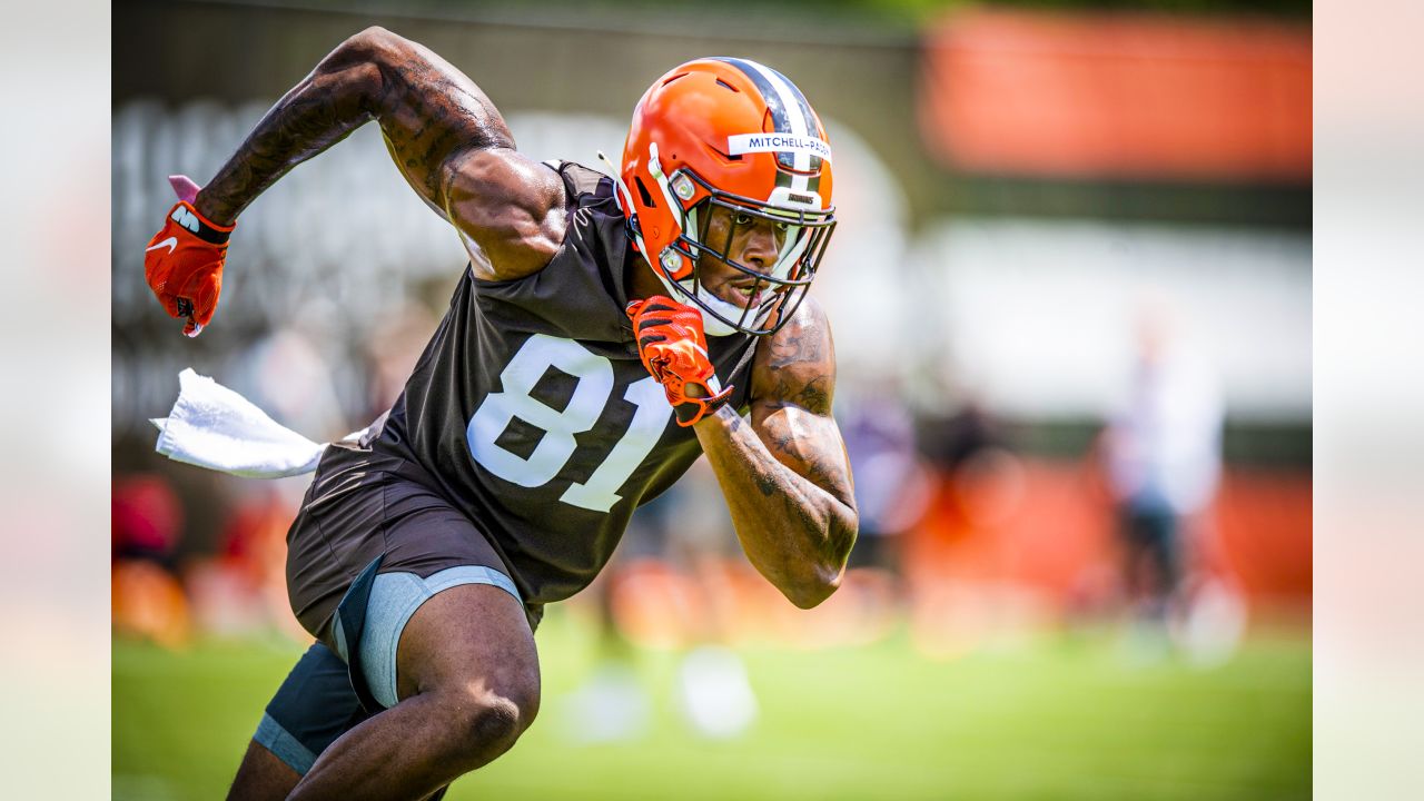 Cleveland Browns tight end Zaire Mitchell-Paden (81) runs on the