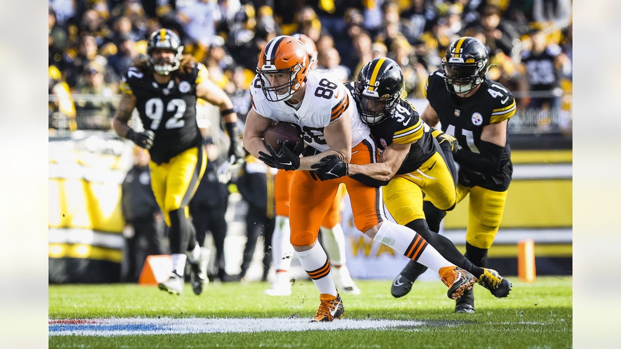 The Browns are back: Cleveland stuns Steelers 48-37 in the playoffs,  advance to face the Chiefs next Sunday - Dawgs By Nature