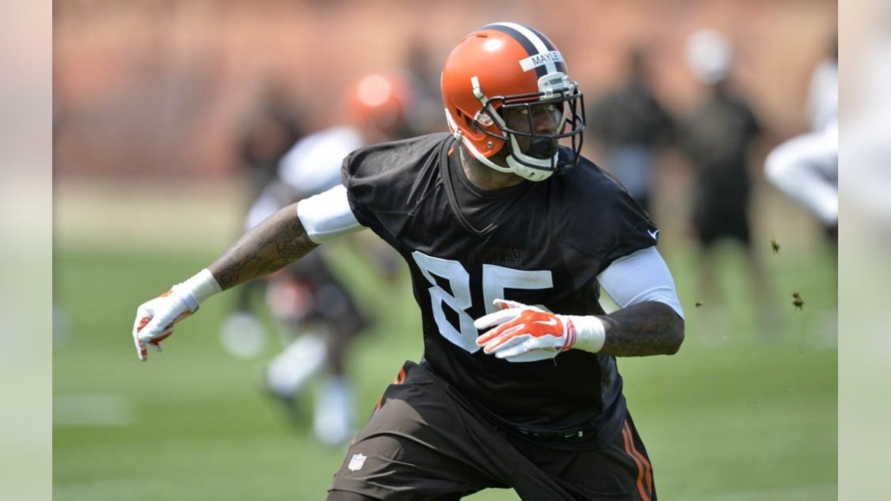 Cleveland Browns cut leading tackler Karlos Dansby, wide receiver Dwayne  Bowe - ESPN