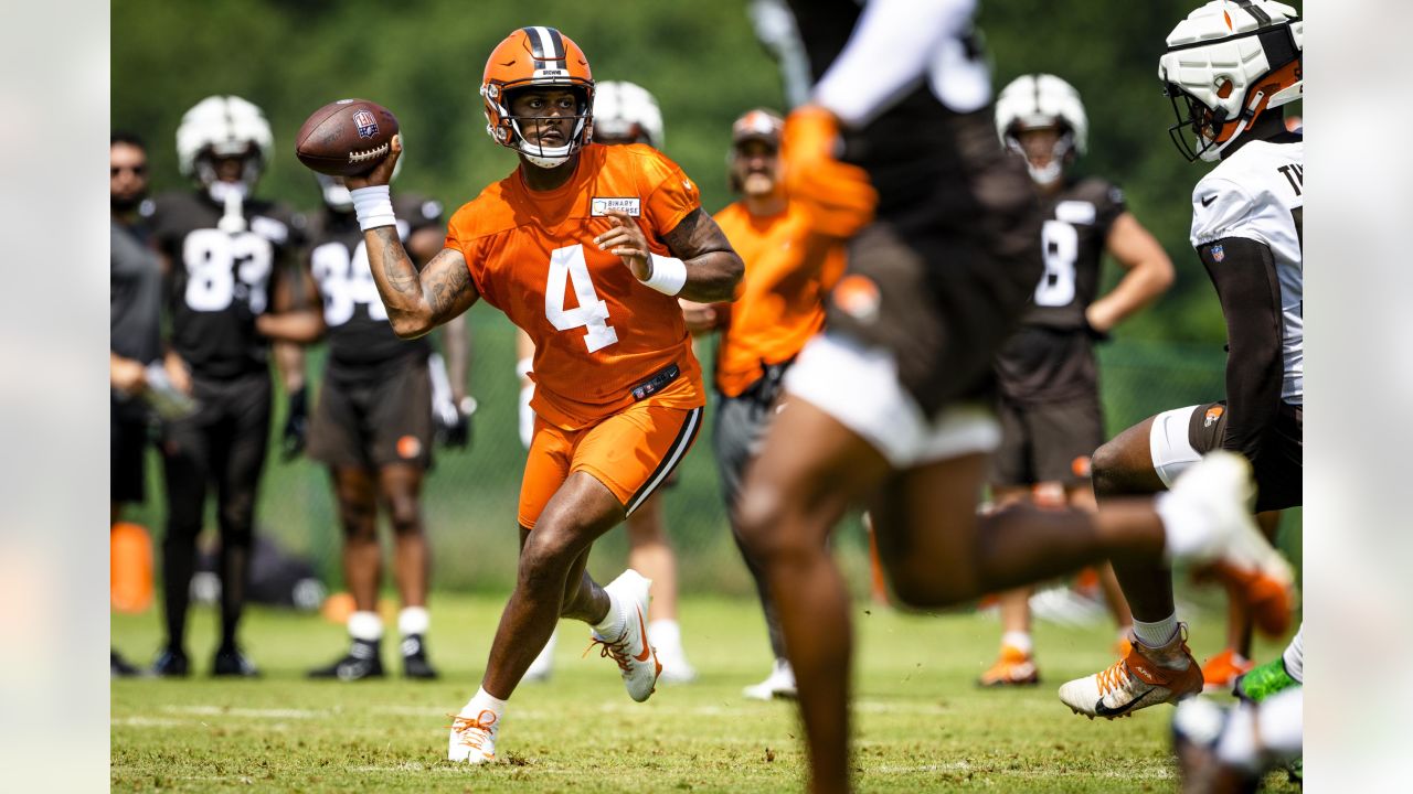 Cleveland Browns WR Elijah Moore back, which is bad news for opposing  defenses - Dawgs By Nature