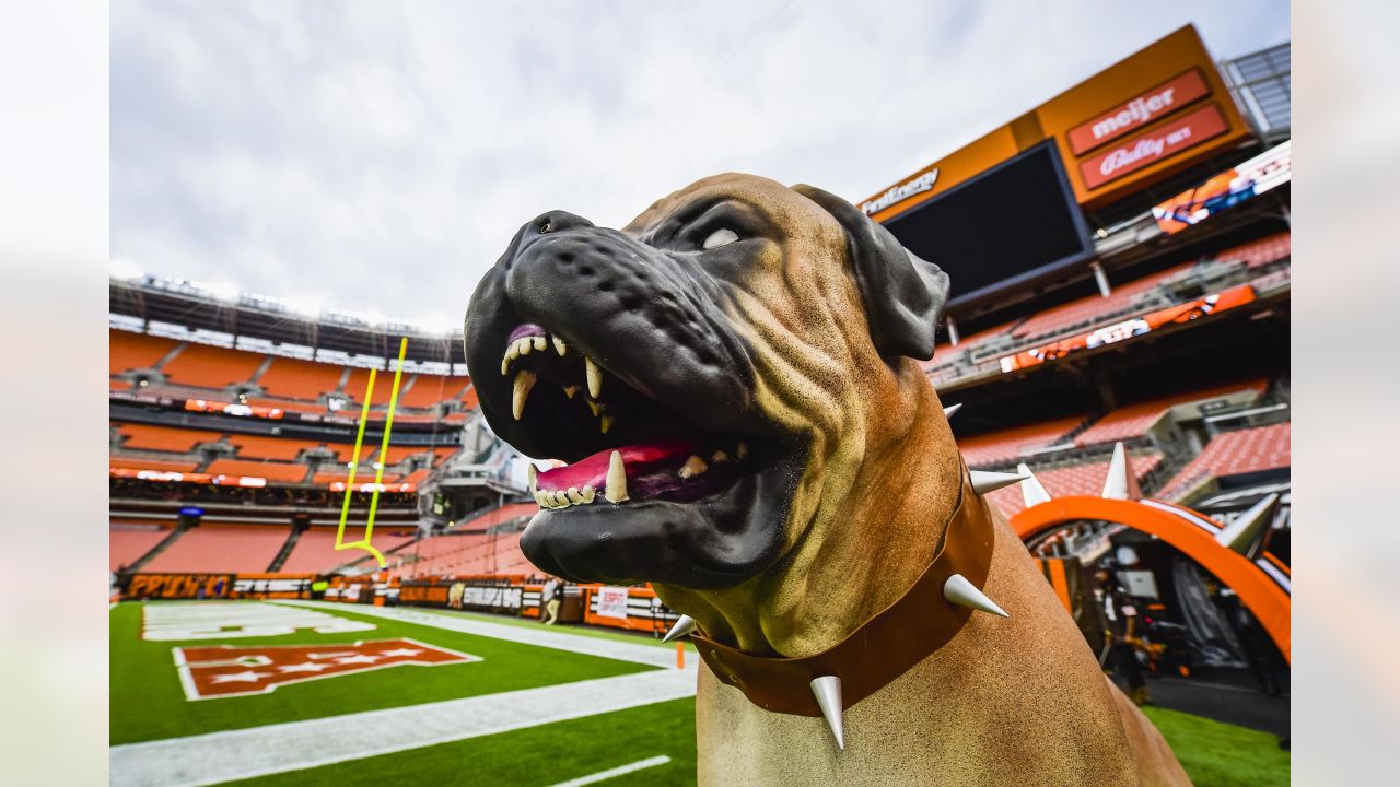 Bengals vs. Browns Same Game Parlay at +800 Odds for NFL Week 1, 9/10 -  FanNation