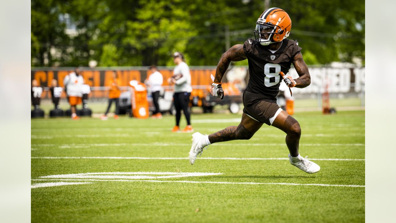 Browns sign free agent TE Akins, reunites with QB Watson