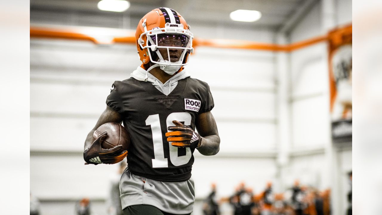 Browns starting cornerbacks Denzel Ward and Greedy Williams questionable  vs. Ravens 