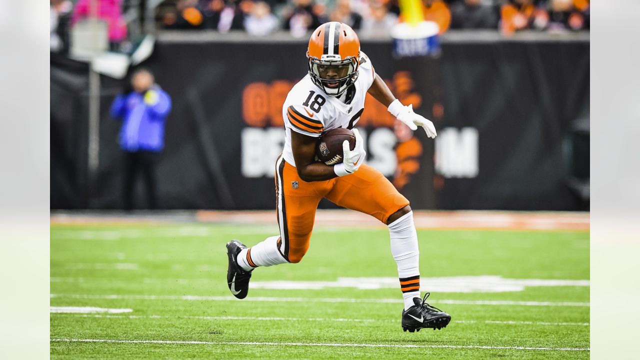 CINCINNATI, OH - DECEMBER 11: Cleveland Browns wide receiver David Bell (18)  during the game against