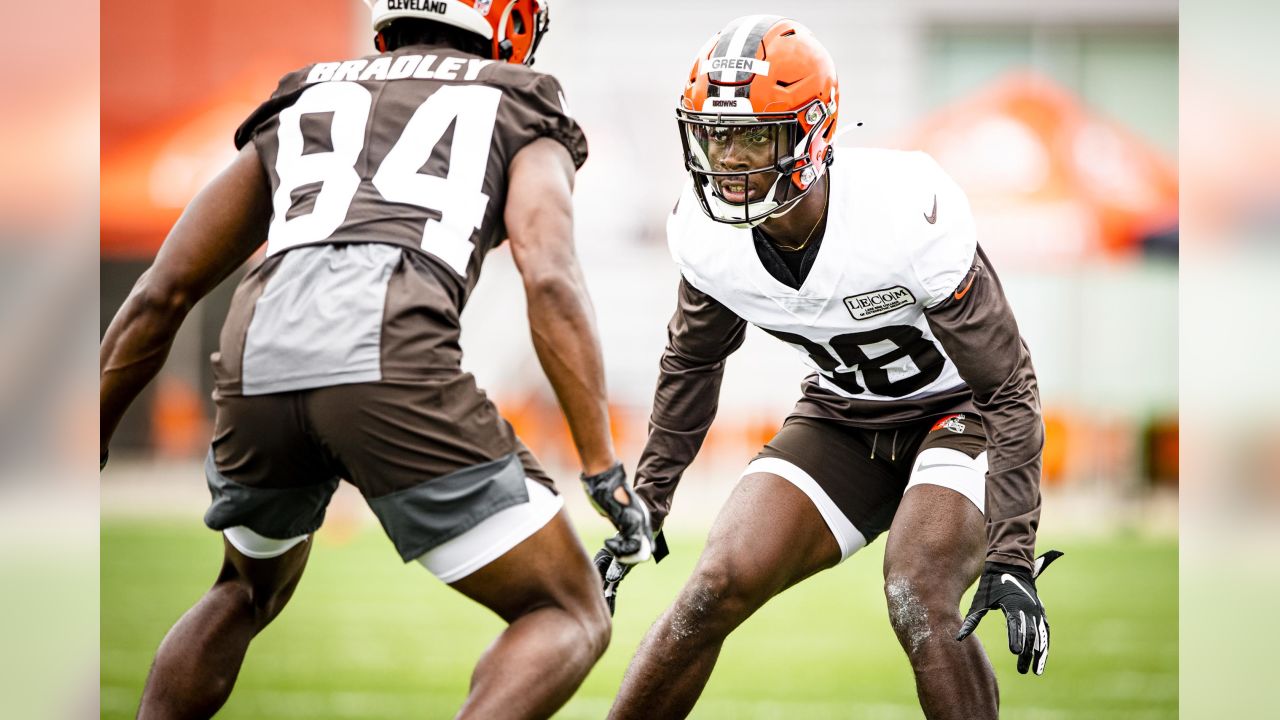 Cleveland Browns Jason Wright (29) runs down field against Miami