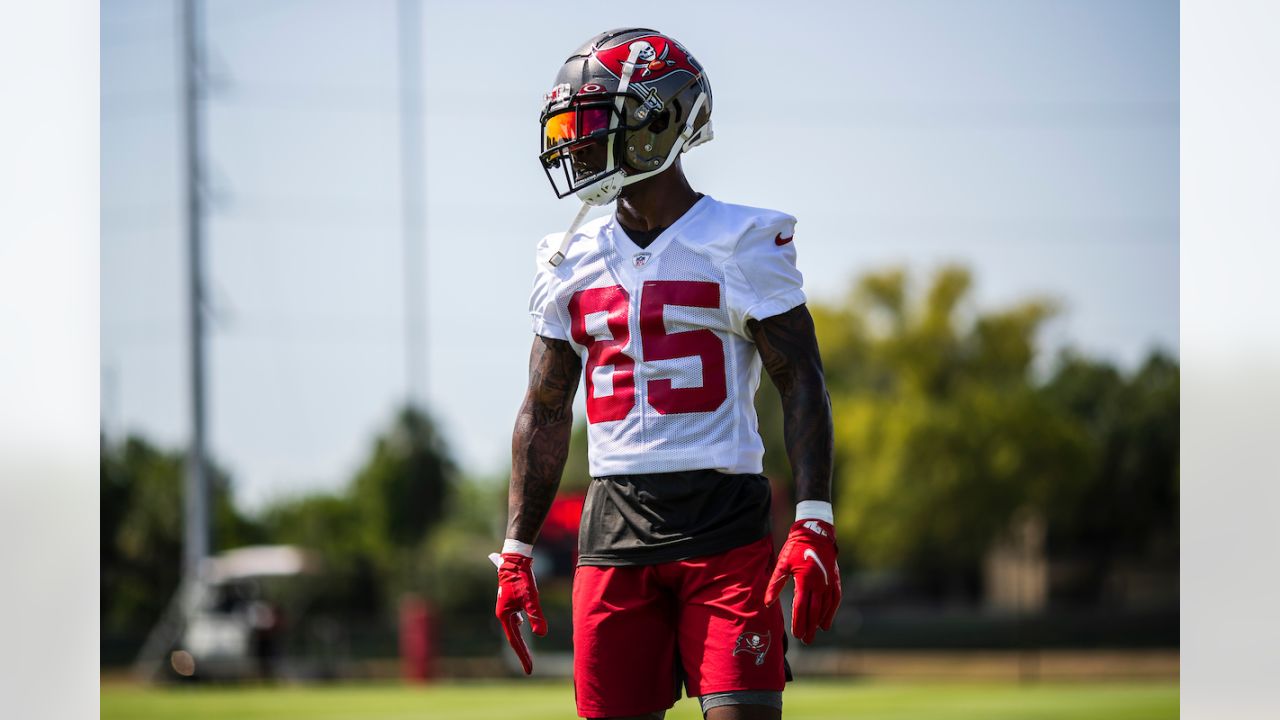 Bucs 2021 Roster Wide Receivers: Mike Evans, Chris Godwin