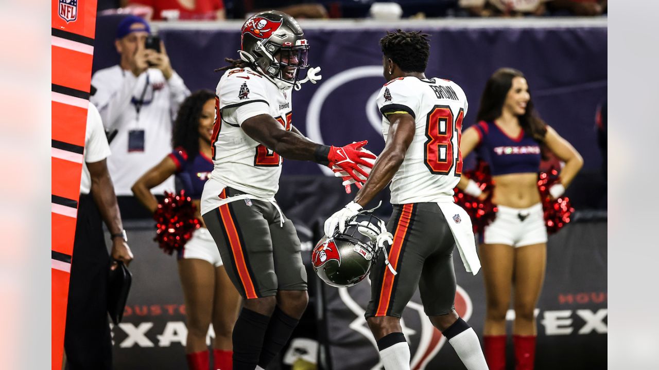 Houston, Texas, USA. 27th Sep, 2015. Tampa Bay Buccaneers fan ''Big Nasty''  prior to an NFL game between the Houston Texans and the Tampa Bay Buccaneers  at NRG Stadium in Houston, TX