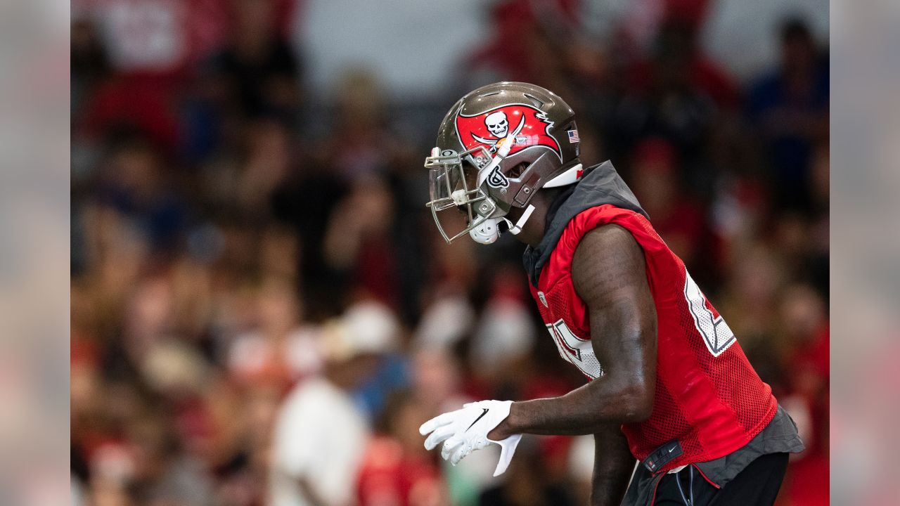 Tampa Bay Buccaneers linebacker Kevin Minter (51) during an NFL football  game against the Chicago Bears, Sunday, Oct. 24th, 2021 in Tampa, Fla. (AP  Photo/Don Montague Stock Photo - Alamy