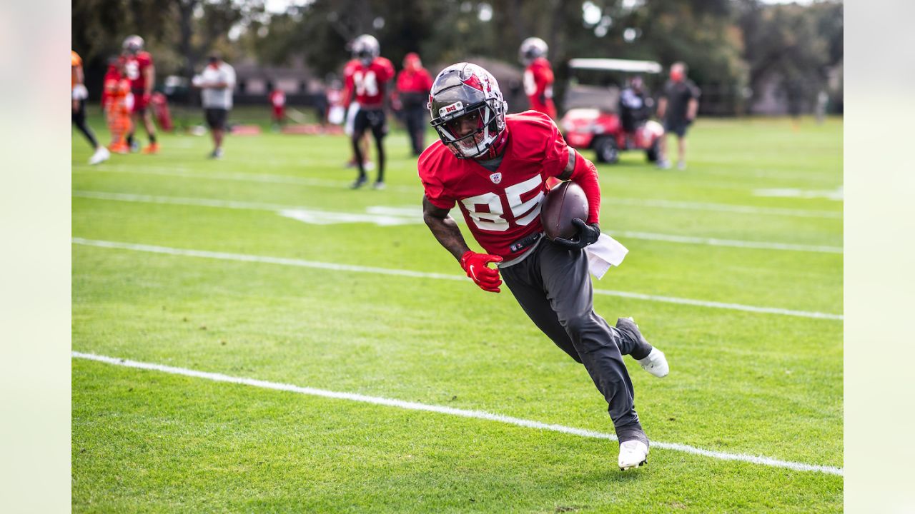 Jaydon Mickens Autographed Tampa Bay (Red #85) Custom Jersey