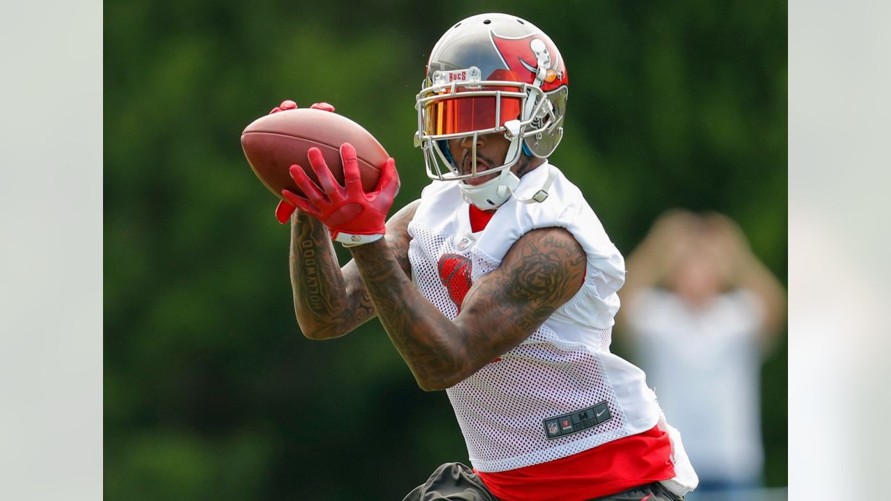 Bang for their Bucs: WR, DeSean Jackson - Bucs Nation