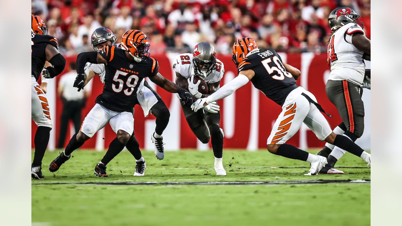 Buccaneers vs Bengals live score & H2H