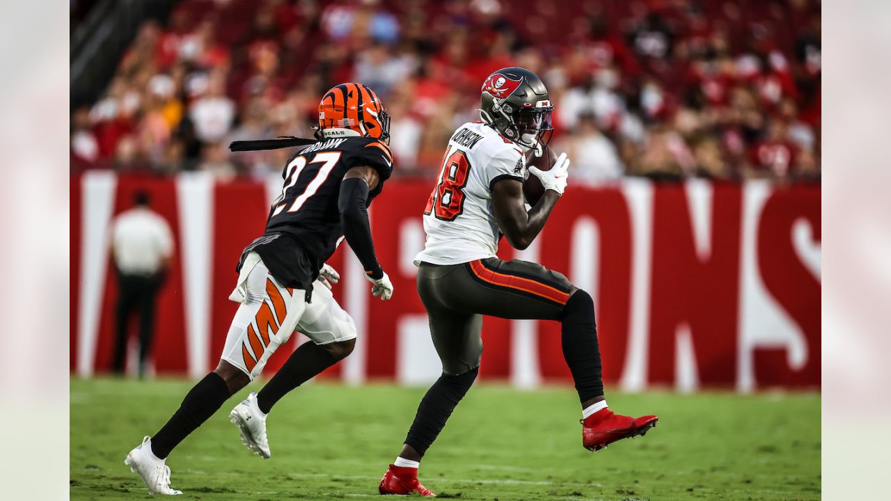 Final Score 19-14 Cincinnati Bengals vs. Tampa Bay Buccaneers Game