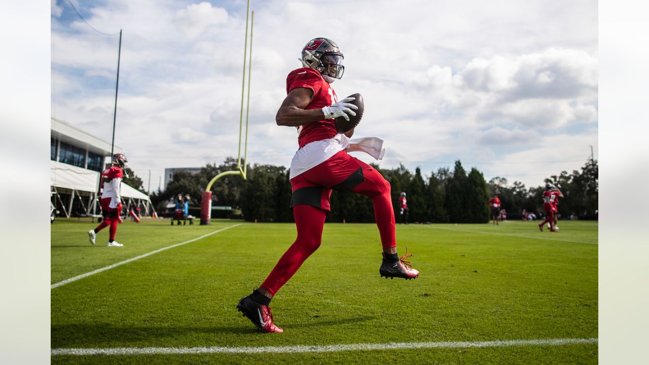 Jaydon Mickens Autographed Tampa Bay (Red #85) Custom Jersey