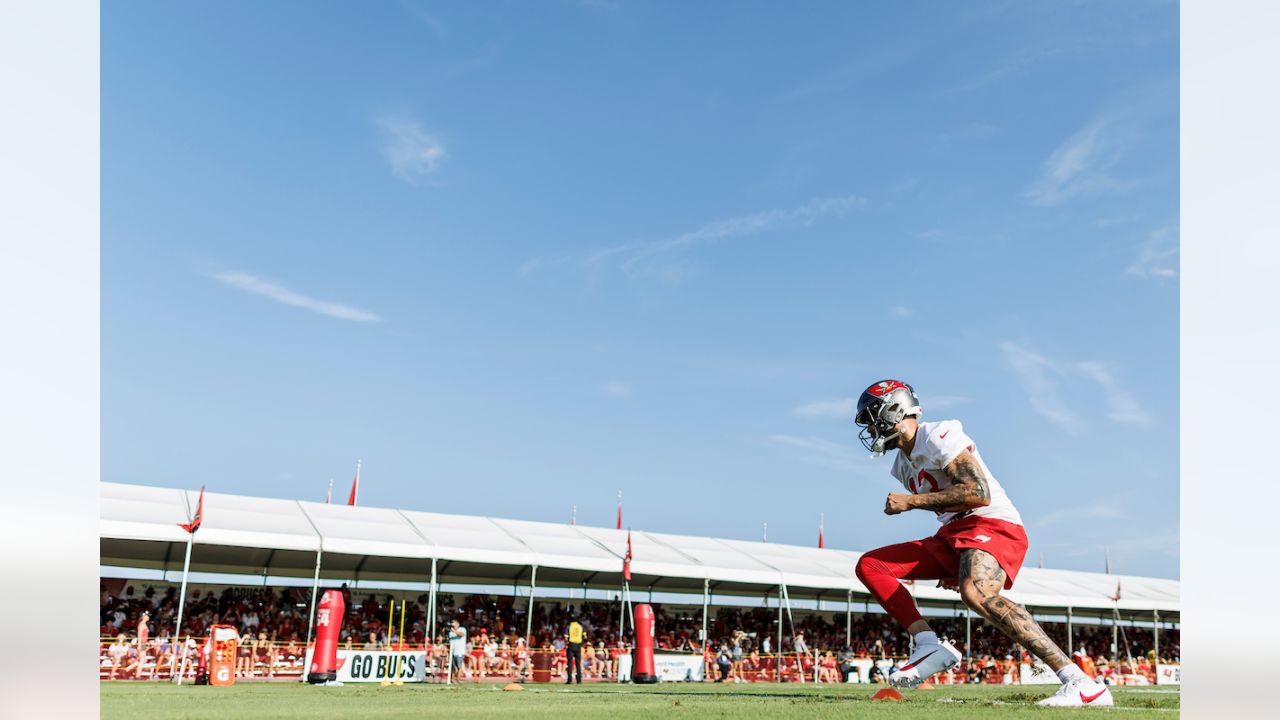 Tampa Bay Buccaneers Wide Receiver Depth, Mike Evans, Chris Godwin