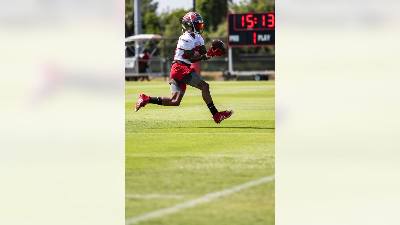 Jaydon Mickens Autographed Tampa Bay (Red #85) Custom Jersey