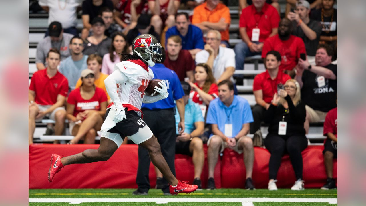 Tampa Bay Buccaneers linebacker Kevin Minter (51) during an NFL football  game against the Chicago Bears, Sunday, Oct. 24th, 2021 in Tampa, Fla. (AP  Photo/Don Montague Stock Photo - Alamy