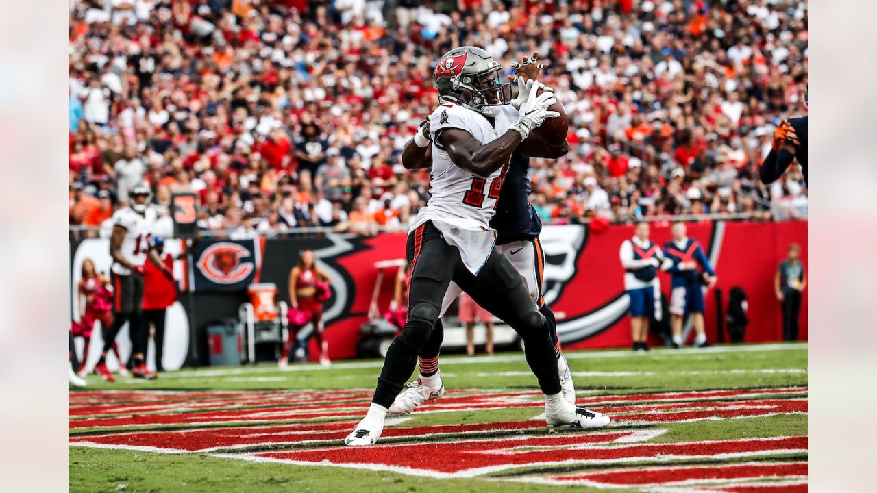 Jaguars vs. Bears: Allen Robinson, Cairo Santos celebrate homecomings