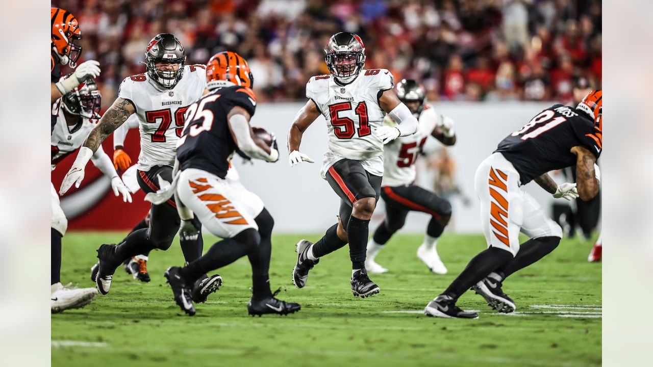 Cincinnati Bengals tight end Mitchell Wilcox (84) stands on the field prior  to an NFL football