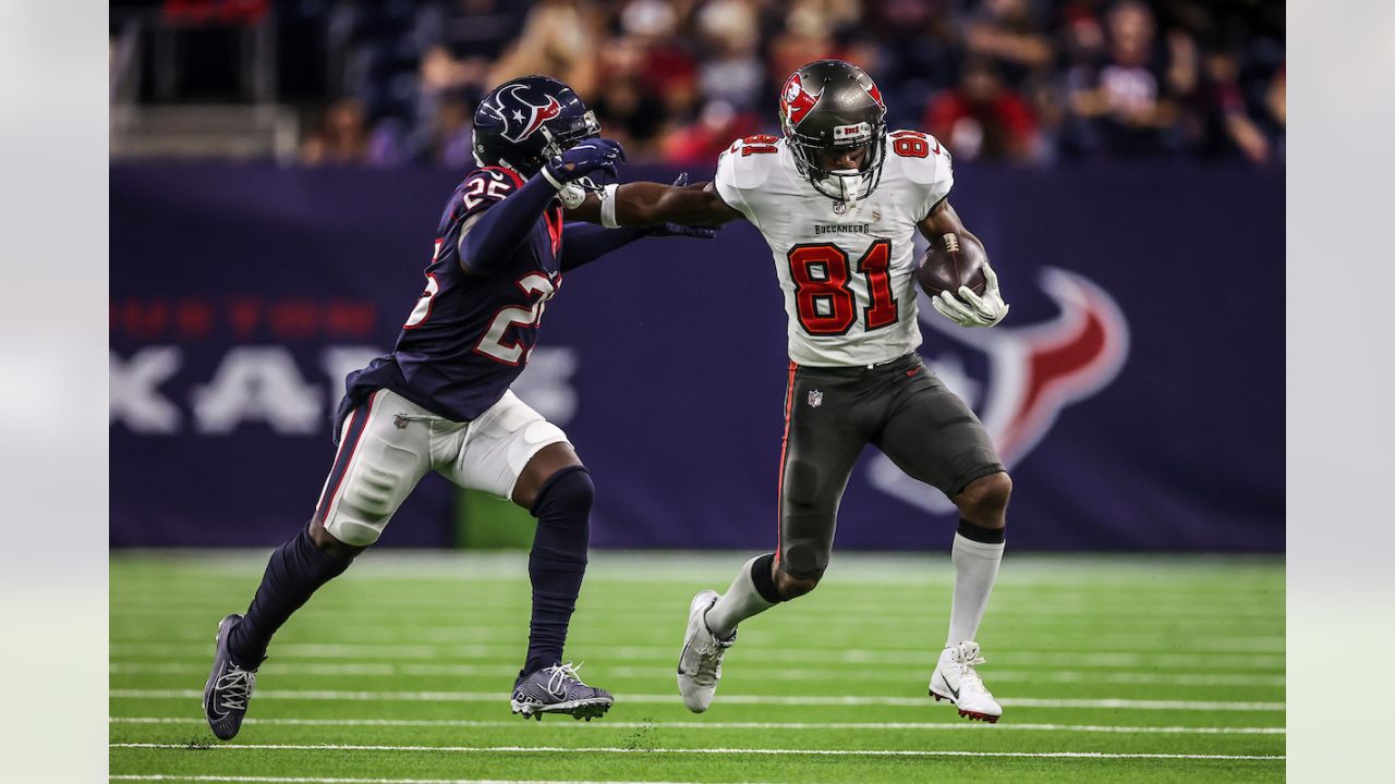 Houston Texans vs. Tampa Bay Buccaneers Pick 12/21/19 Predictem