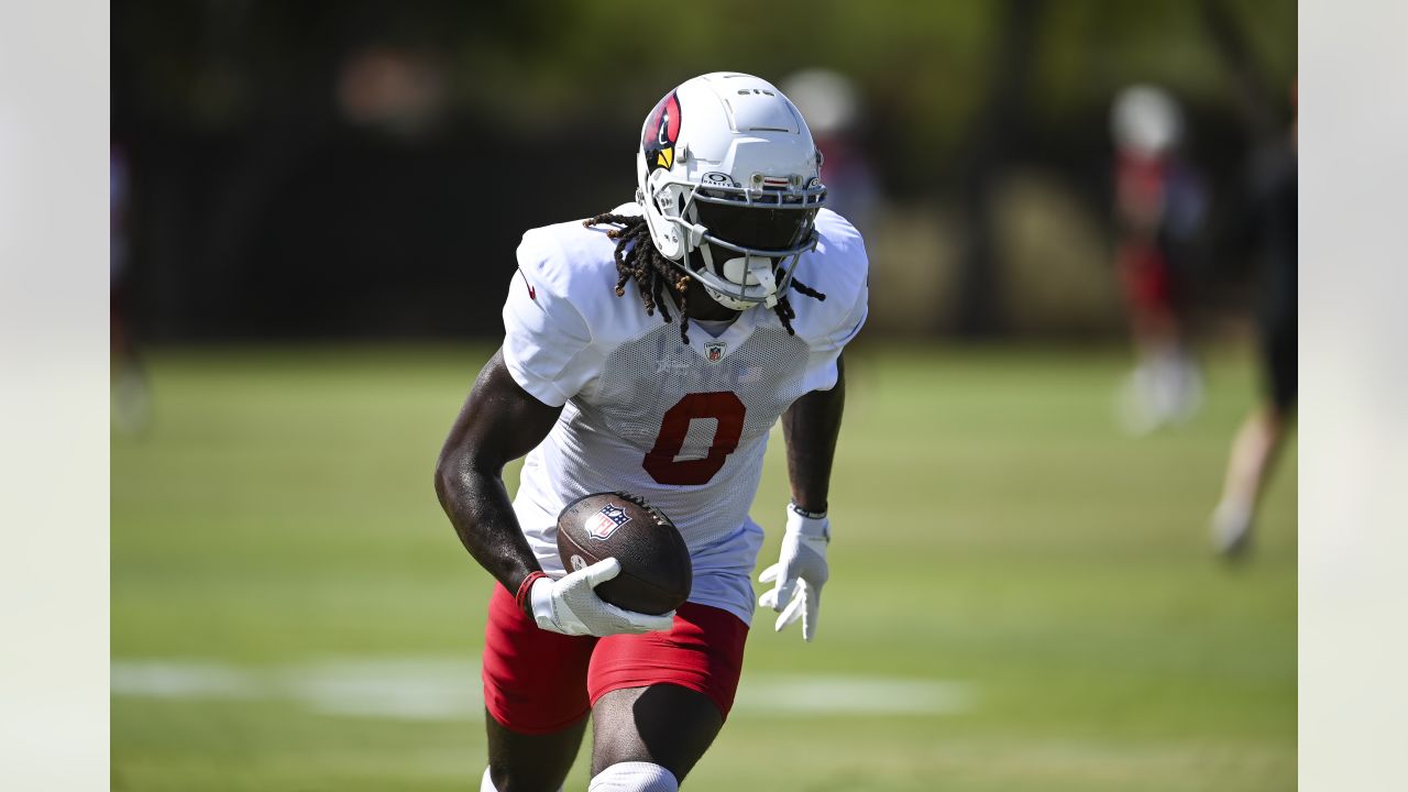 Arizona Cardinals' Darrel WIlliams (24) and Jared Smart (38) participate  during the team's NFL football practice, Monday, June 6, 2022, in Tempe,  Ariz. (AP Photo/Matt York Stock Photo - Alamy